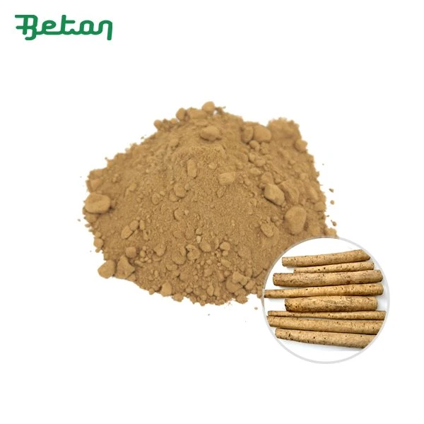Organic Burdock Powder