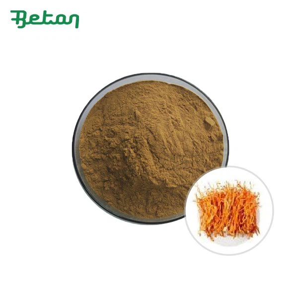 Organic Cordyceps Sinensis Extract