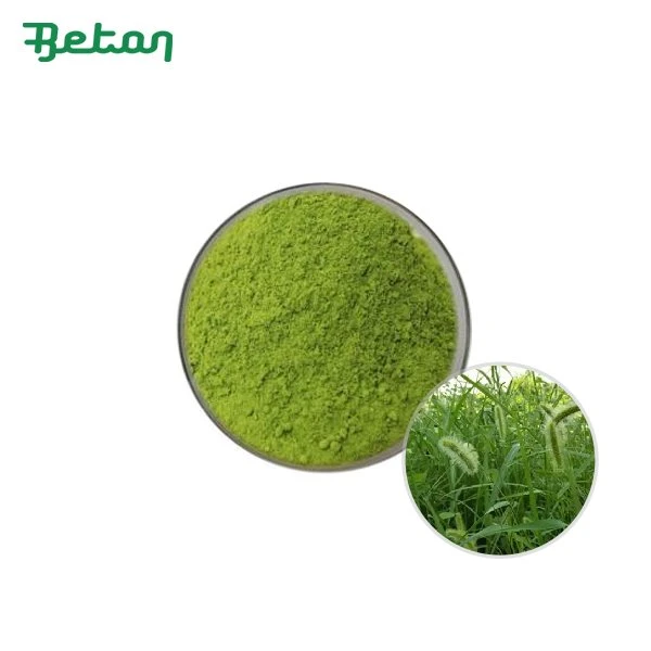 Organic Horsetail Powder