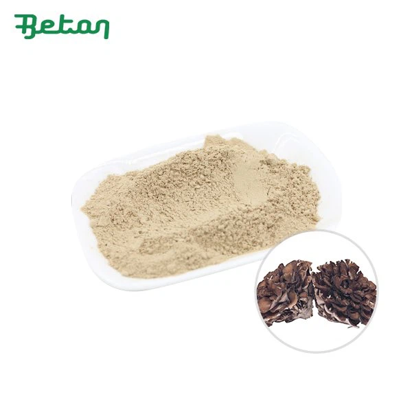 Organic Maitake Extract Powder