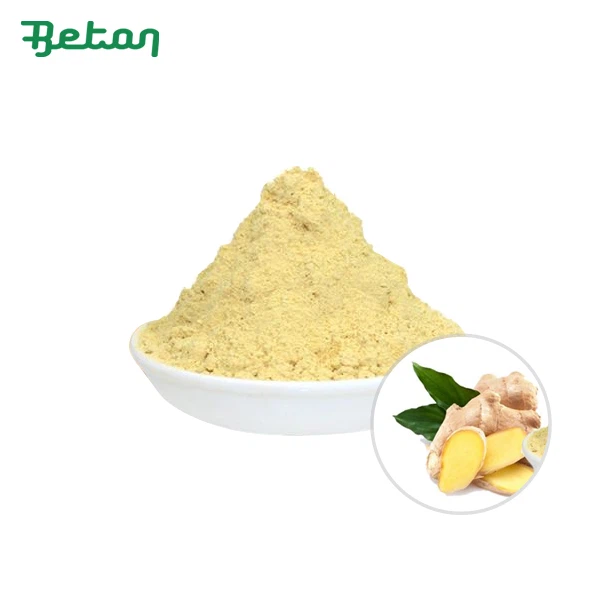 Organic Raw Ginger Powder