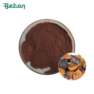 Organic Chaga Powder