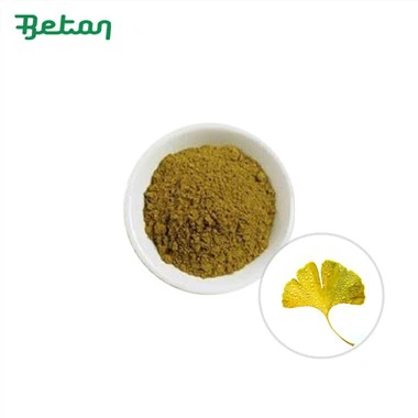 Organic Ginkgo Biloba Leaf Powder
