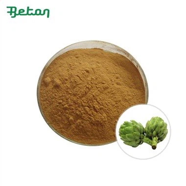 Jerusalem Artichoke Powder