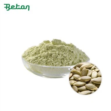 Organic Pumpkin Protein Powder