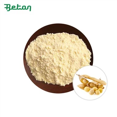 Organic Soybean Protein Powder