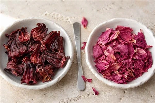 Hibiscus Sabdariffa vs Hibiscus Rosa-Sinensis: Which Species Belongs in Your Product?