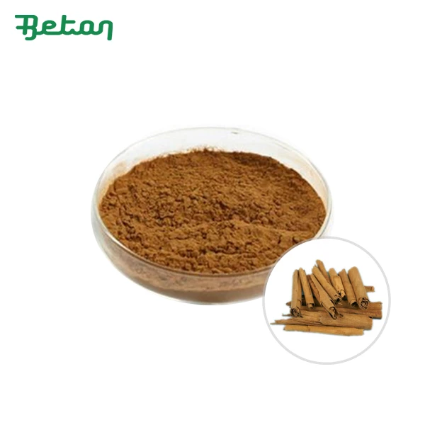 Organic Cinnamon Extract Powder