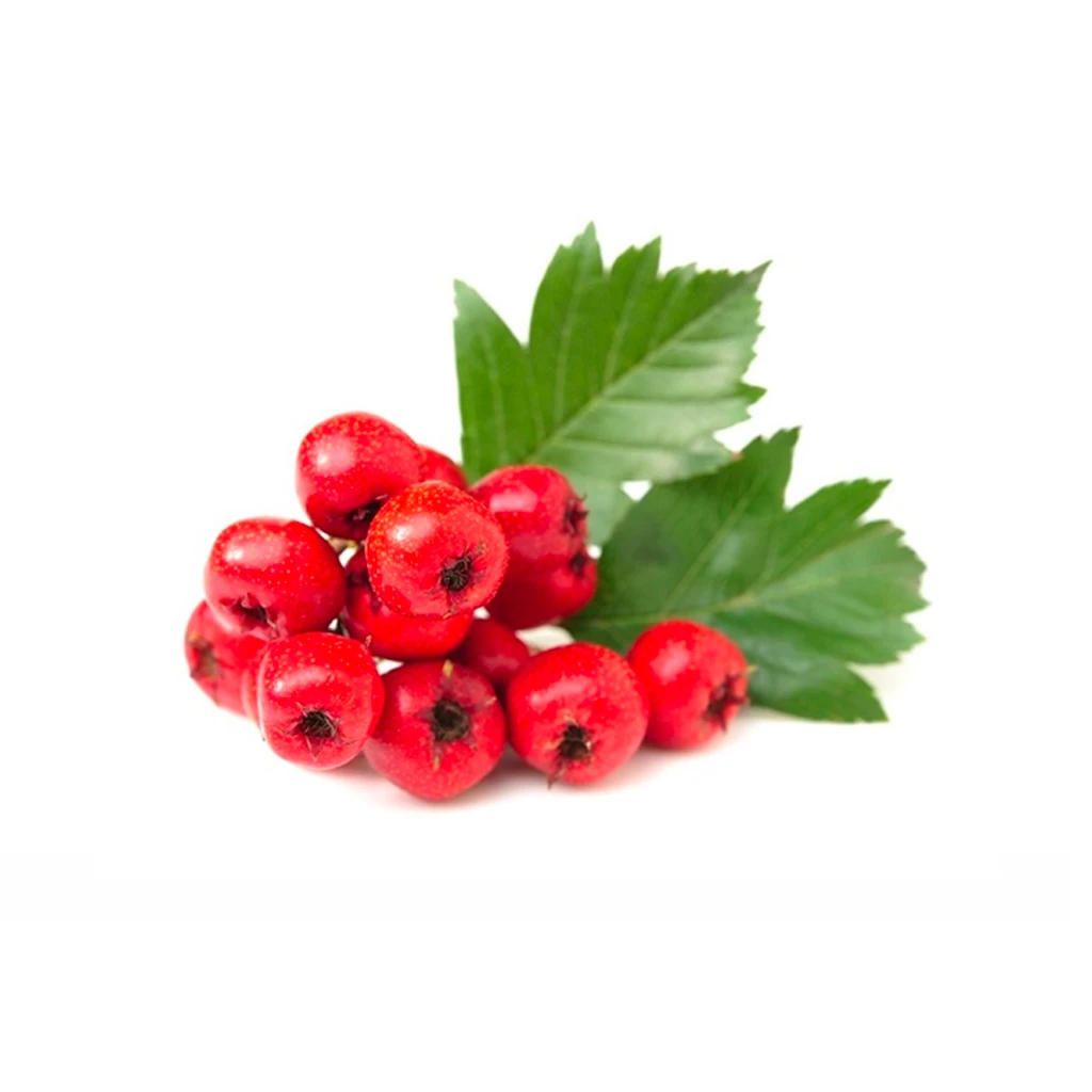 Organic Hawthorn Powder Organic Hawthorn Powder