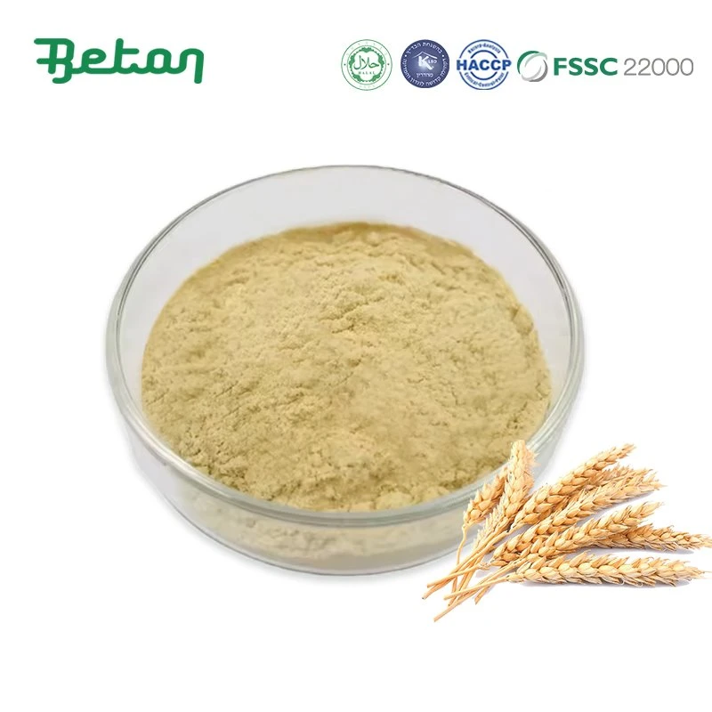 Wheat Germ Extract powder